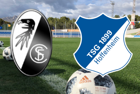 Højdepunkter, optakt, Hoffenheim, Freiburg