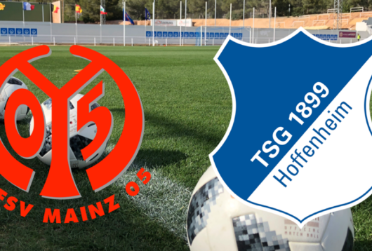 Højdepunkter, optakt, Hoffenheim, Mainz