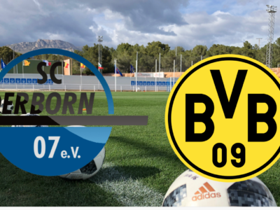Højdepunkter, optakt, Paderborn, Borussia Dortmund