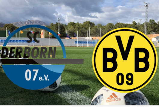 Højdepunkter, optakt, Paderborn, Borussia Dortmund
