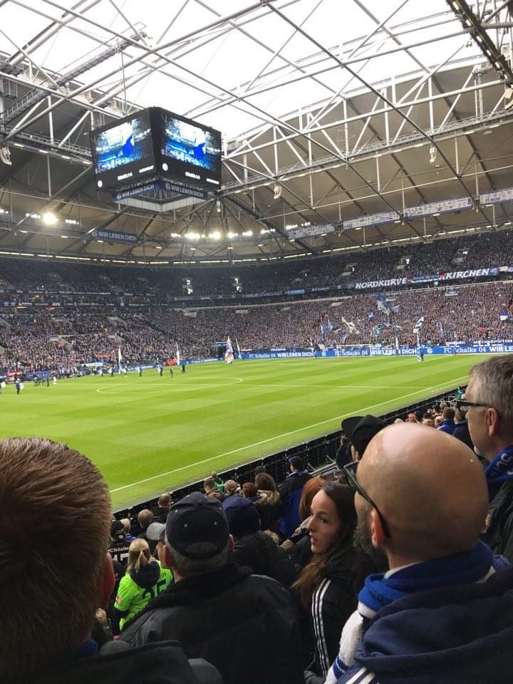 Schalke 04, sæsonoptakt