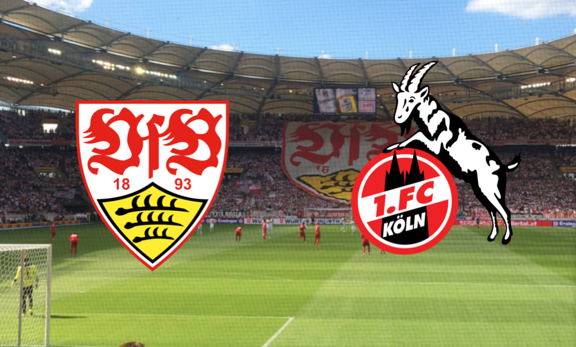 Optakt, Højdepunkter, VfB Stuttgart, 1. FC Köln