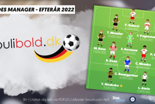 Bundesligamanager, holdet.dk
