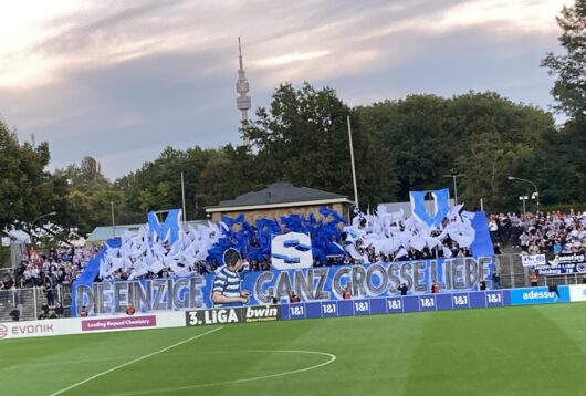 MSV Duisburg, fans